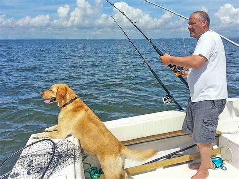dog fishing